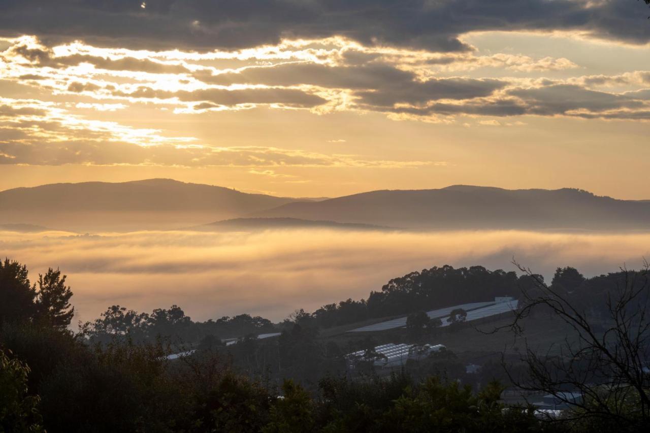 Treetops - Yarra Valley Country Apartment Silvan Exterior photo